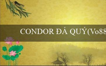 CONDOR ĐÁ QUÝ(Vo88 Sân chơi trực tuyến giải trí phong cách mới)